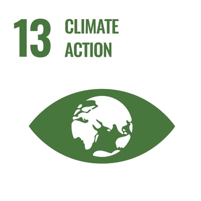 SDG 13