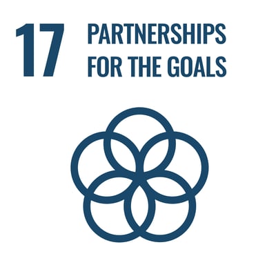 SDG 17 Partnerships for the goals