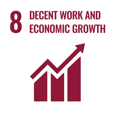 SDG 8