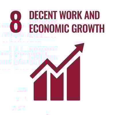 SDG 8