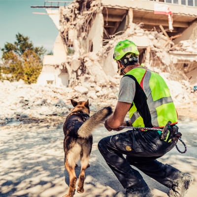 Rescuer search with help of rescue dog