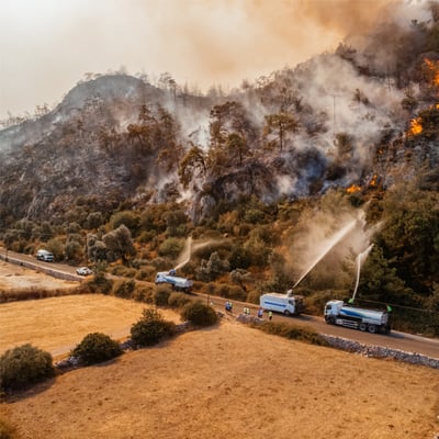 wildfires