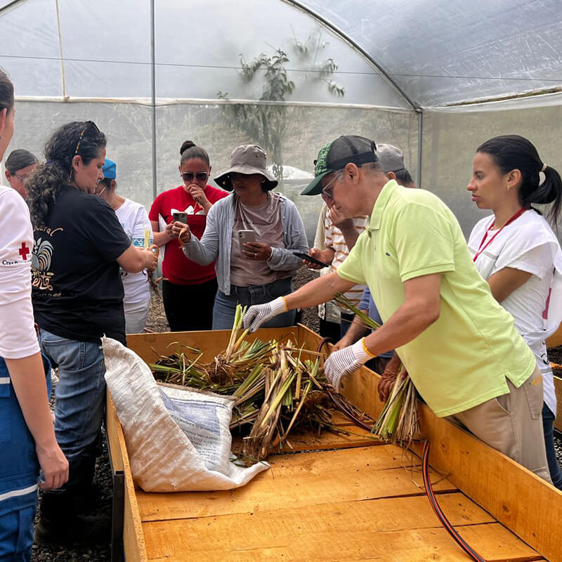 UCRPGreenhouse_nursery_training_Copacabana